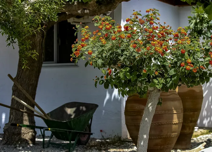 Apartament Pefkos Eye Pefki