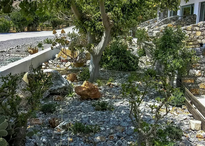 Pefkos Eye