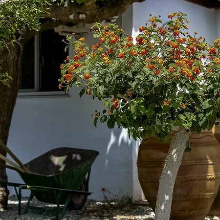 Apartament Pefkos Eye Pefki