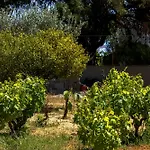 Appartamento Pefkos Eye *