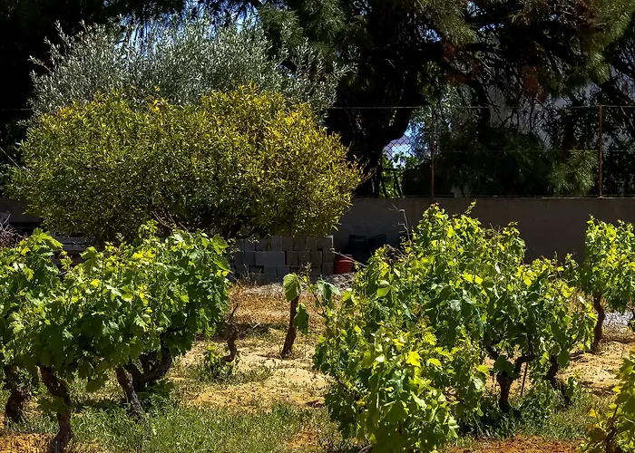 Appartement Pefkos Eye *