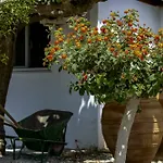Apartment Pefkos Eye Pefki